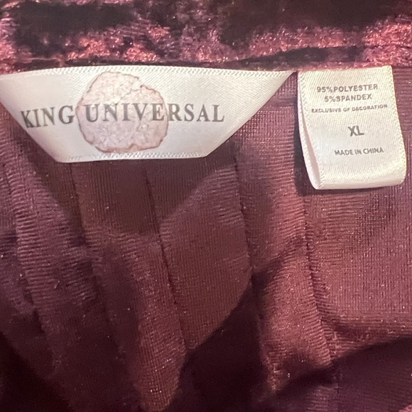 Velvet Dress XL Rich Jewel Toned Burgundy Holiday Festive Event Whimsigoth - Picture 7 of 8